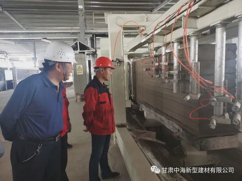 2020前进中的中海 甘肃省墙改办刘德义主任一行到我厂调研